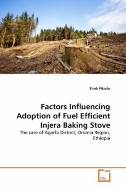 Factors Influencing Adoption of Fuel Efficient Injera Baking Stove