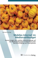Mobiles Internet im Medienzeitbudget
