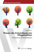 Phasen der Entwicklung von Pflegefamilien