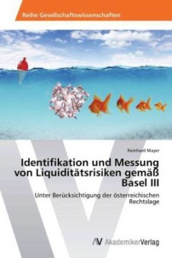 Identifikation und Messung von Liquiditätsrisiken gemäß Basel III