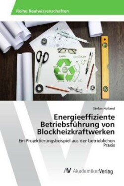 Energieeffiziente Betriebsfuhrung Von Blockheizkraftwerken