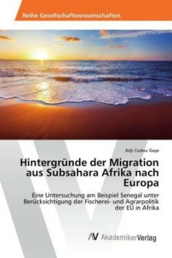 Hintergründe der Migration aus Subsahara Afrika nach Europa