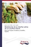 Modelación de la interfaz salina de un acuífero litoral