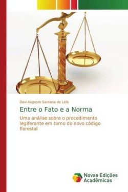 Entre o Fato e a Norma