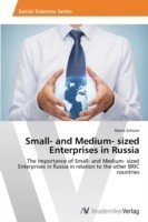 Small- and Medium- sized Enterprises in Russia