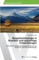 Biogastechnologie in Brasilien und zukünftige Entwicklungen