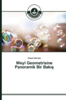 Weyl Geometrisine Panoramik Bir Bakış