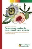 Formação de mudas de maracujazeiro por enxertia