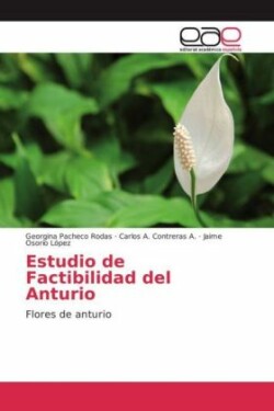 Estudio de Factibilidad del Anturio