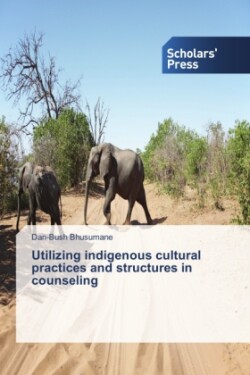 Utilizing indigenous cultural practices and structures in counseling