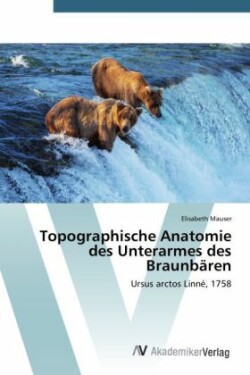 Topographische Anatomie des Unterarmes des Braunbären