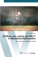 Einfluss von Laktat auf MCT1 in Muskelvorläuferzellen
