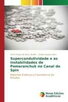 Supercondutividade e as Instabilidades de Pomeranchuk no Canal de Spin