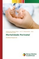 Mortalidade Perinatal