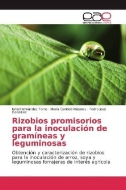 Rizobios promisorios para la inoculación de gramíneas y leguminosas