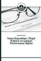 İnsan Kaynakları, Örgüt Kültürü ve Çalışan Performansı İlişkisi