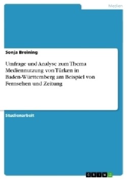 Umfrage und Analyse zum Thema Mediennutzung von Turken in Baden-Wurttemberg am Beispiel von Fernsehen und Zeitung