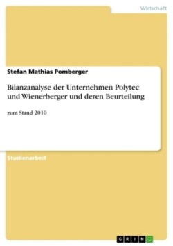 Bilanzanalyse der Unternehmen Polytec und Wienerberger und deren Beurteilung