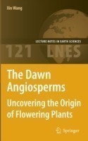 Dawn Angiosperms