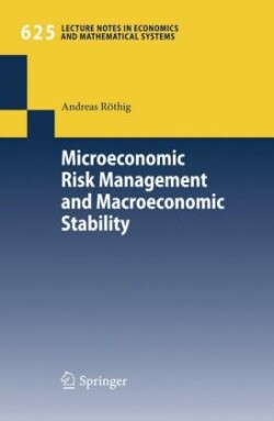 Microeconomic Risk Management and Macroeconomic Stability