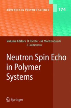 Neutron Spin Echo in Polymer Systems