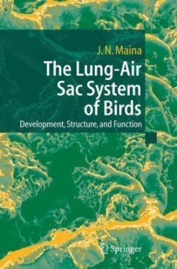 Lung-Air Sac System of Birds