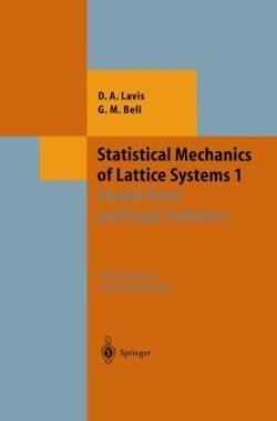 Statistical Mechanics of Lattice Systems