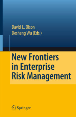 New Frontiers in Enterprise Risk Management