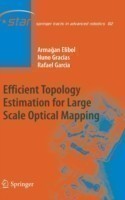 Efficient Topology Estimation for Large Scale Optical Mapping