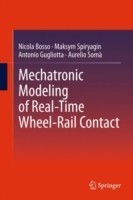 Mechatronic Modeling of Real-Time Wheel-Rail Contact