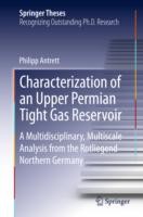 Characterization of an Upper Permian Tight Gas Reservoir