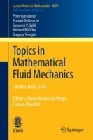 Topics in Mathematical Fluid Mechanics