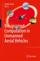 Bio-inspired Computation in Unmanned Aerial Vehicles