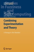 Combining Experimentation and Theory
