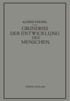 Grundriss der Entwicklung des Menschen