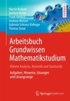 Arbeitsbuch Grundwissen Mathematikstudium - Höhere Analysis, Numerik und Stochastik