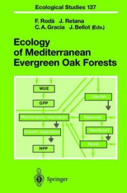 Ecology of Mediterranean Evergreen Oak Forests