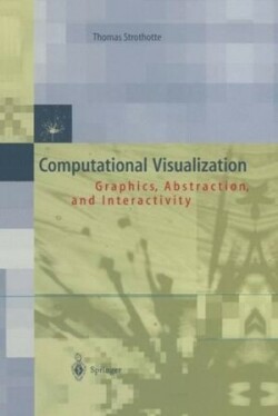 Computational Visualization