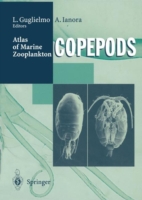 Atlas of Marine Zooplankton Straits of Magellan