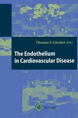 Endothelium in Cardiovascular Disease