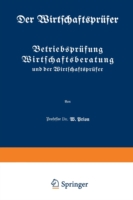 Betriebsprüfung Wirtschaftsberatung und der Wirtschaftsprüfer