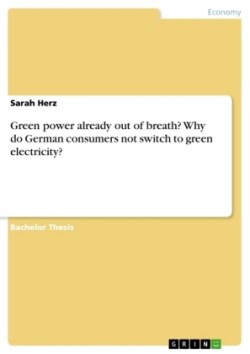 Green power already out of breath? Why do German consumers not switch to green electricity?