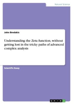 Understanding the Zeta function, without getting lost in the tricky paths of advanced complex analysis