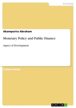 Monetary Policy and Public Finance