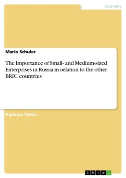 The Importance of Small- and Medium-sized Enterprises in Russia in relation to the other BRIC countries