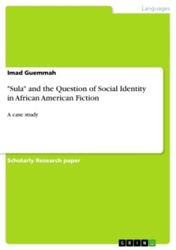 "Sula" and the Question of Social Identity in African American Fiction