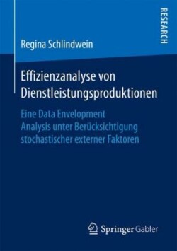 Effizienzanalyse von Dienstleistungsproduktionen