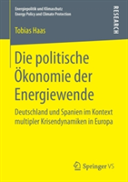 Die politische Ökonomie der Energiewende