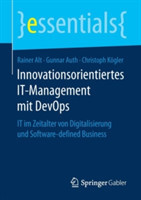 Innovationsorientiertes IT-Management mit DevOps