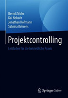 Projektcontrolling